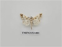 藏品(螟蛾304)的圖片